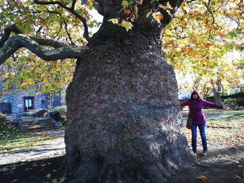 Rear view of man standing on tree trunk