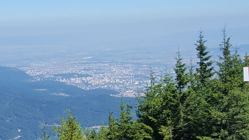 Scenic view of tree mountains against sky