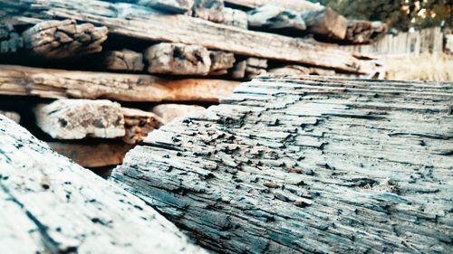 Close-up of logs