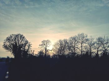 Silhouette trees against sky during sunset