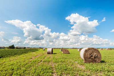 Hay bales on field against sky