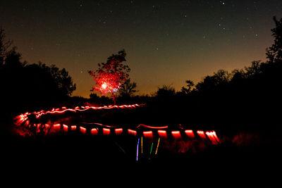 View of illuminated trees against sky at night