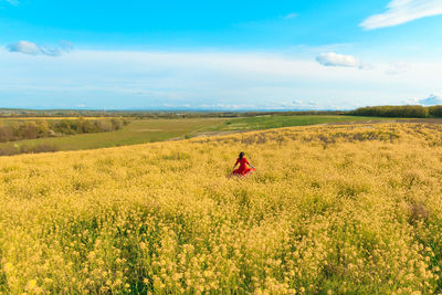 A woman in a bright red dress walks in the middle of a blooming yellow on a clear summer day