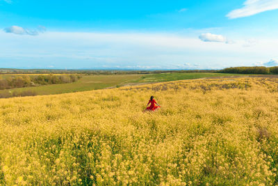 Scenic view of agricultural field against sky