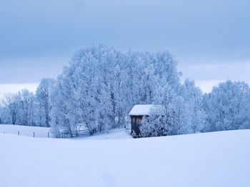 Snow covered landscape against sky