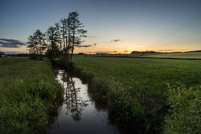 Scenic view of agricultural field against sky during sunset