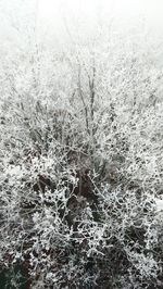 Full frame shot of snow covered land