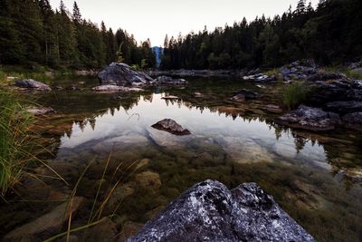 Scenic view of lake in forest against sky