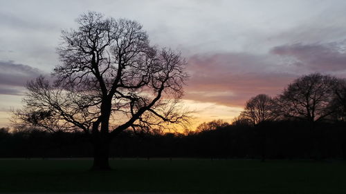 Bare trees on field against cloudy sky