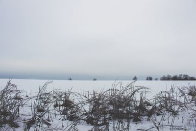 Scenic view of sea against sky during winter