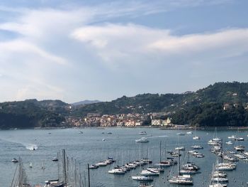 Boats moored in harbor, san terenzo seen from lerici