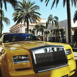 View of car and palm trees against sky