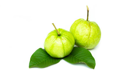 Close-up of guavas and leaves against white background