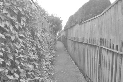 Walkway along buildings