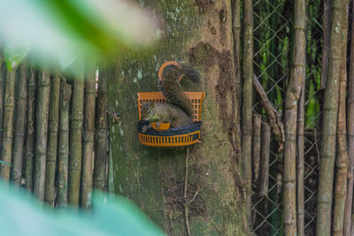 Warning sign on a tree