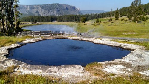 Geyser in yellowstone national park