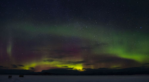 Scenic view of northern lights and star field against sky at night