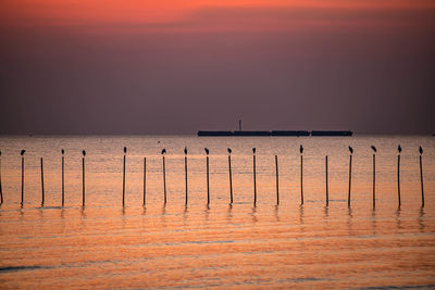 Colorful sunset along the sea in the golden hour.