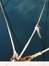 Ropes tied at harbor