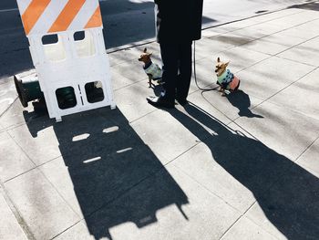 High angle view of people standing on zebra crossing