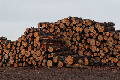 Stack of logs against sky