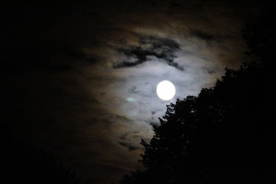 Low angle view of silhouette trees against sky at night