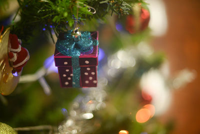 Close-up of christmas tree