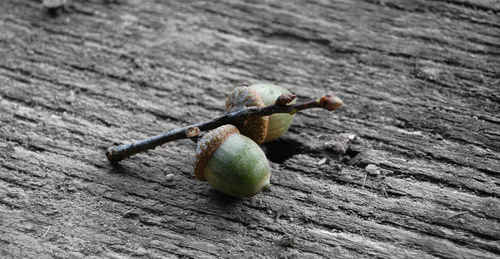 Close-up of wooden food