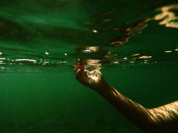 Cropped image of person in water