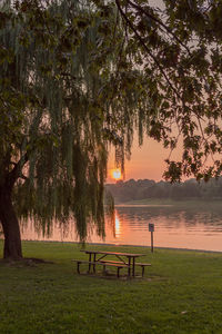 Scenic view of tree against sky during sunset