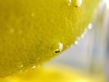 Close-up of raindrops on yellow leaf