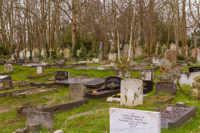View of cemetery