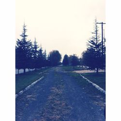 Empty road along bare trees