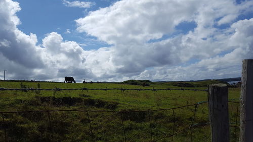 Scenic view of field against sky