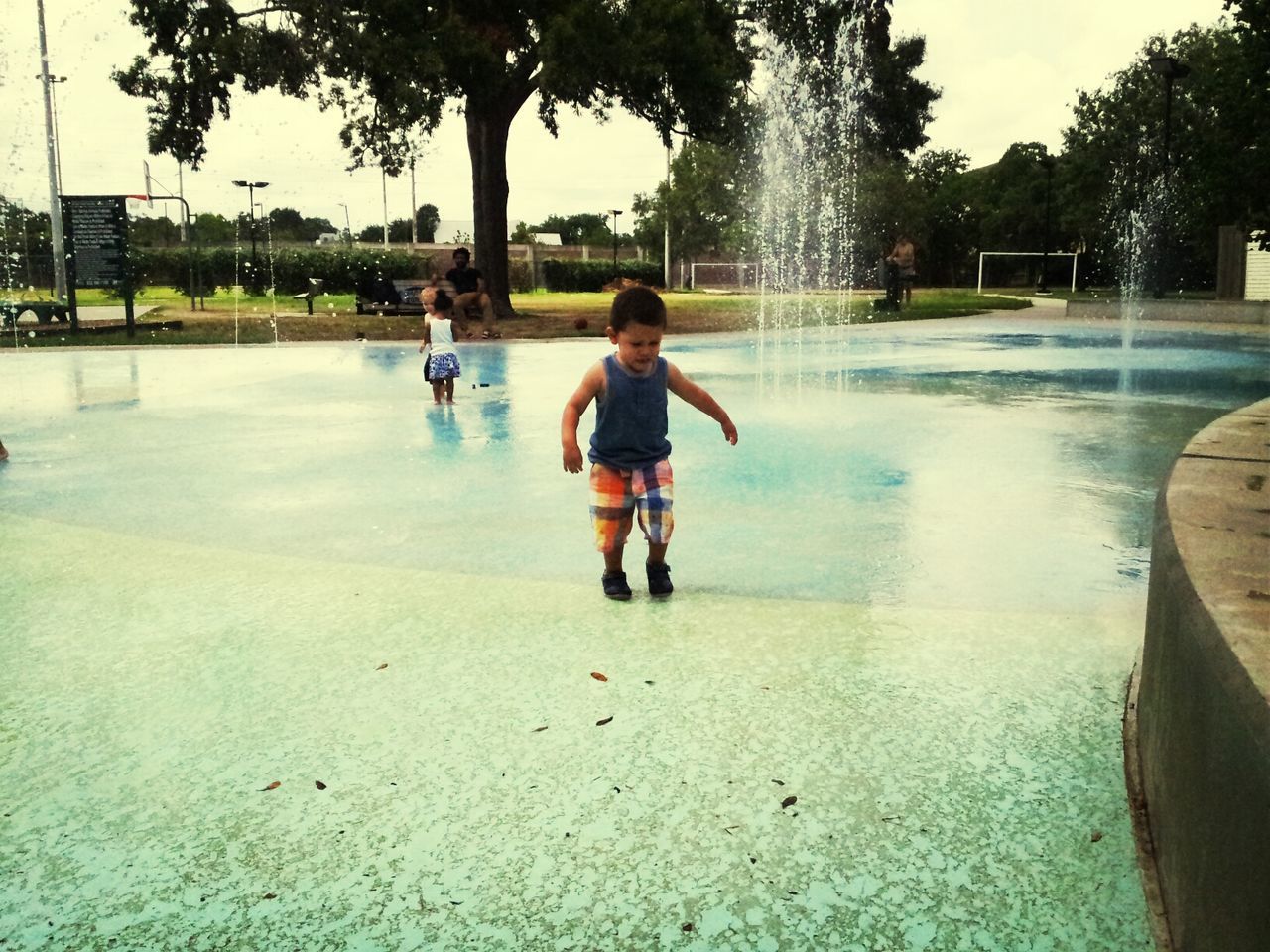 full length, tree, water, lifestyles, leisure activity, casual clothing, childhood, boys, rear view, elementary age, sunlight, park - man made space, beach, girls, day, walking, person