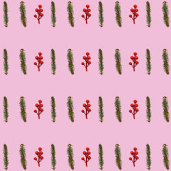 Full frame shot of pink flowering plants