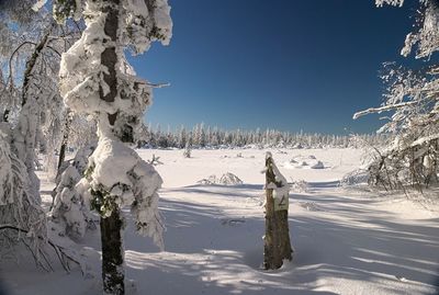 Snow covered landscape against sky