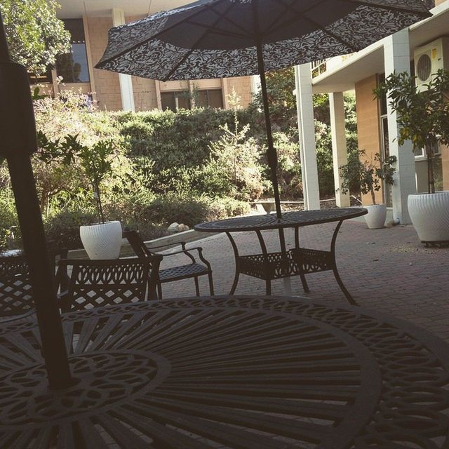 chair, built structure, absence, architecture, table, empty, house, potted plant, sunlight, building exterior, seat, tree, plant, furniture, no people, day, railing, bench, growth, shadow