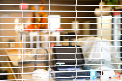 Close-up of bird in cage