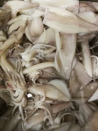 Full frame shot of food