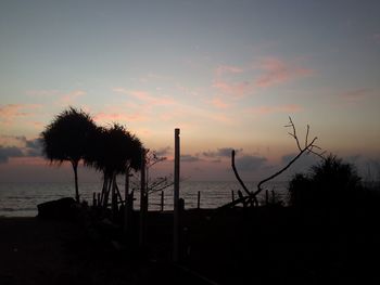 Silhouette trees on beach against sky during sunset