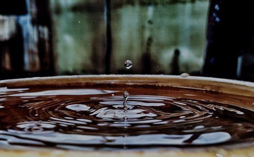 Close-up of water drop