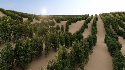 3d render of a row of trees in the middle of the desert