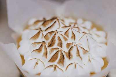 Close-up of chocolate cake