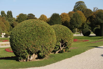 Trees in park against sky