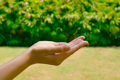 Close-up of human hand against blurred background