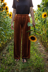 Low section of woman holding sunflower while standing at farm