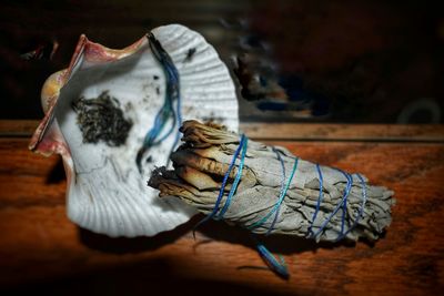 Burnt sage smudge stick and shell