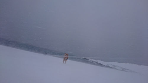 Woman standing on beach