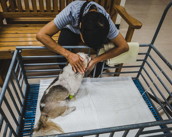 High angle view of man playing with dog in hospital